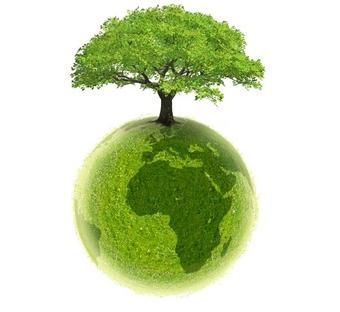 Respect de l'environnement
